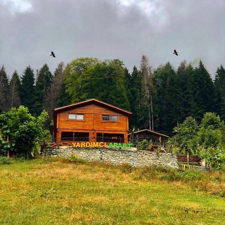 Ayder Yardimci Apart Екстериор снимка