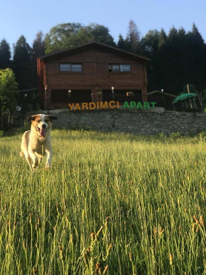 Ayder Yardimci Apart Екстериор снимка