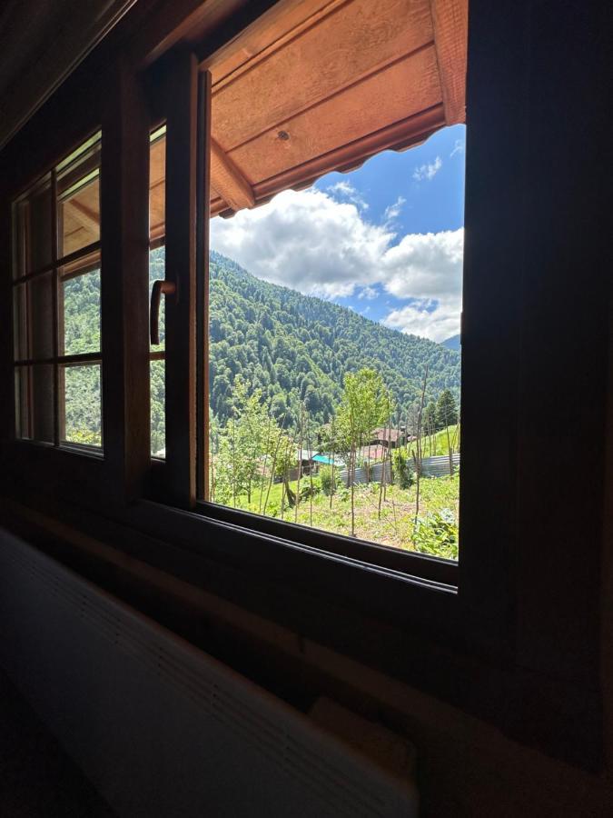 Ayder Yardimci Apart Екстериор снимка