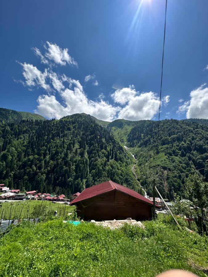 Ayder Yardimci Apart Екстериор снимка